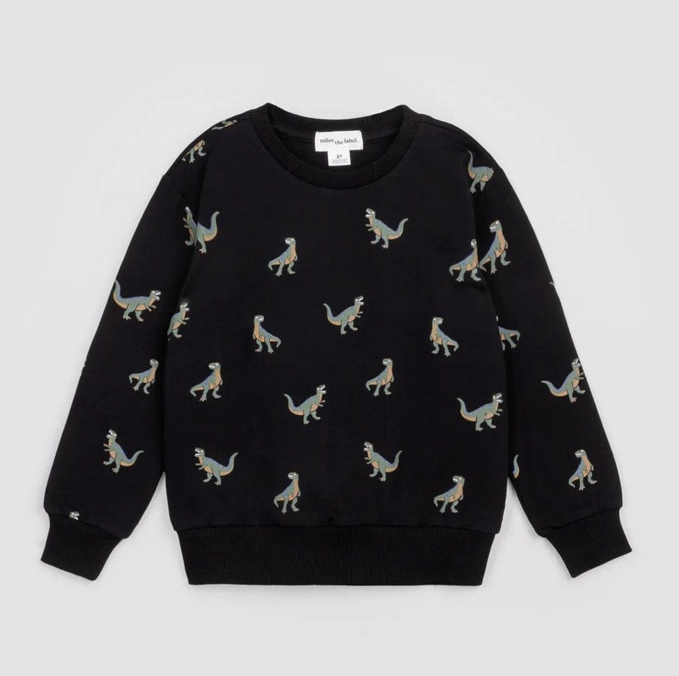 A Bundle of Joy Boutique Sweaters All Over T-Rex Print Sweatshirt