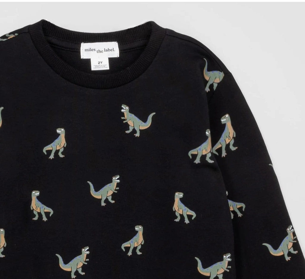 A Bundle of Joy Boutique Sweaters All Over T-Rex Print Sweatshirt