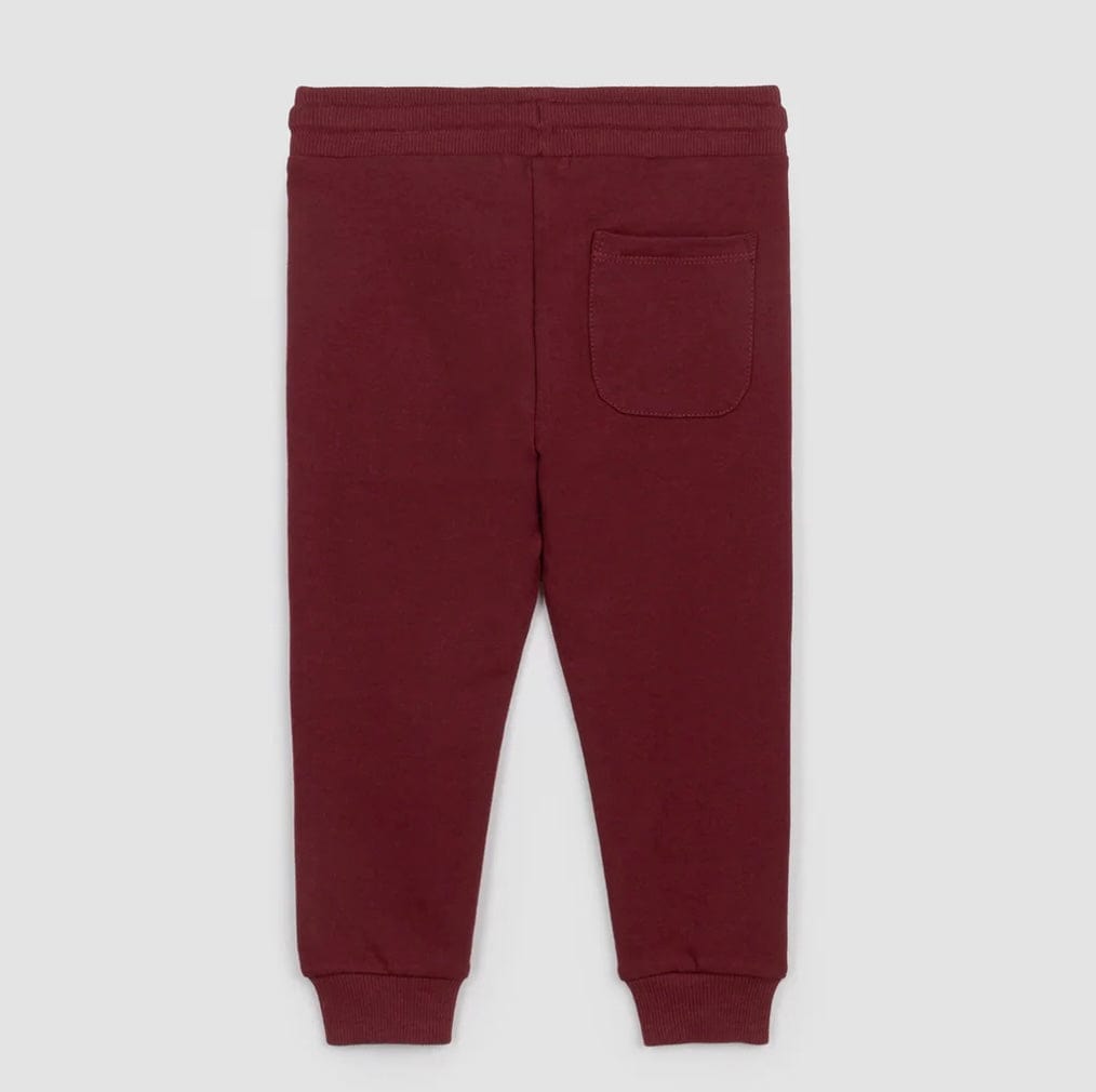 A Bundle of Joy Boutique Bottoms Burgundy Joggers