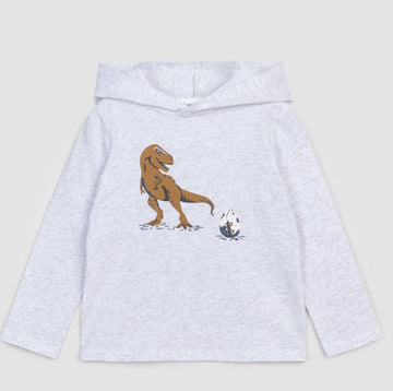 A Bundle of Joy Boutique Tops Grey T-Rex Hooded Long Sleeve T-shirt