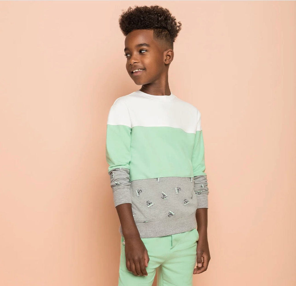 A Bundle of Joy Boutique  Mint Skate Sweatshirt